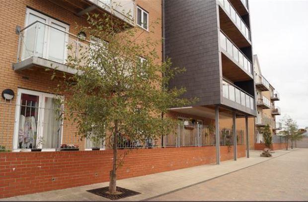 Vetrelax Chelmsford Apartment Kültér fotó